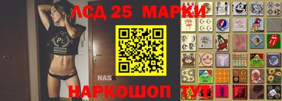 дживик Камышлов