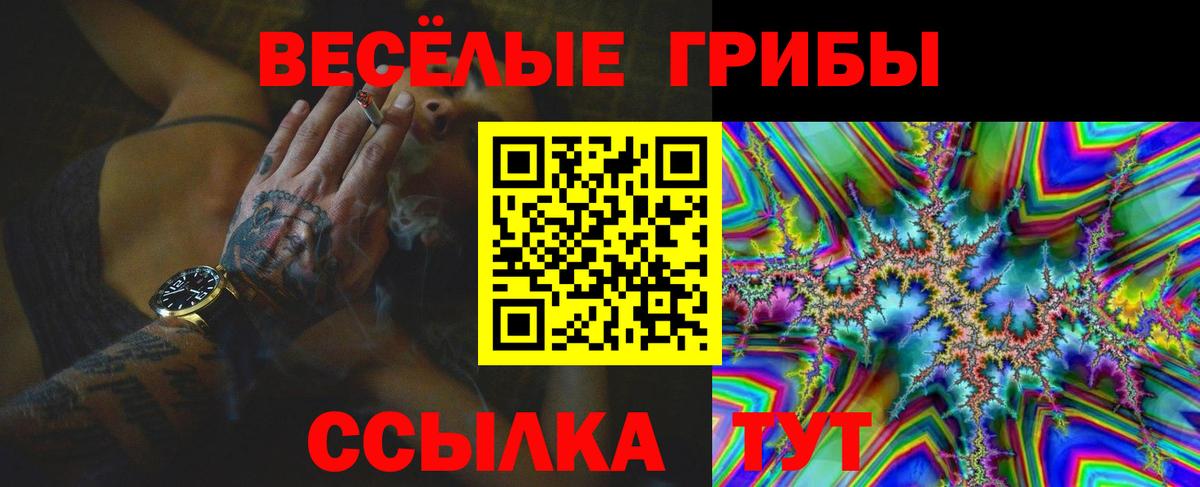 Псилоцибиновые грибы Cubensis  Вход с VPN  Кунгур 